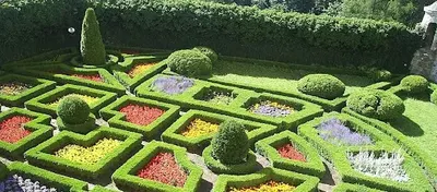 Zakładanie Ogrodów - Garden Łukasz Bazylczuk